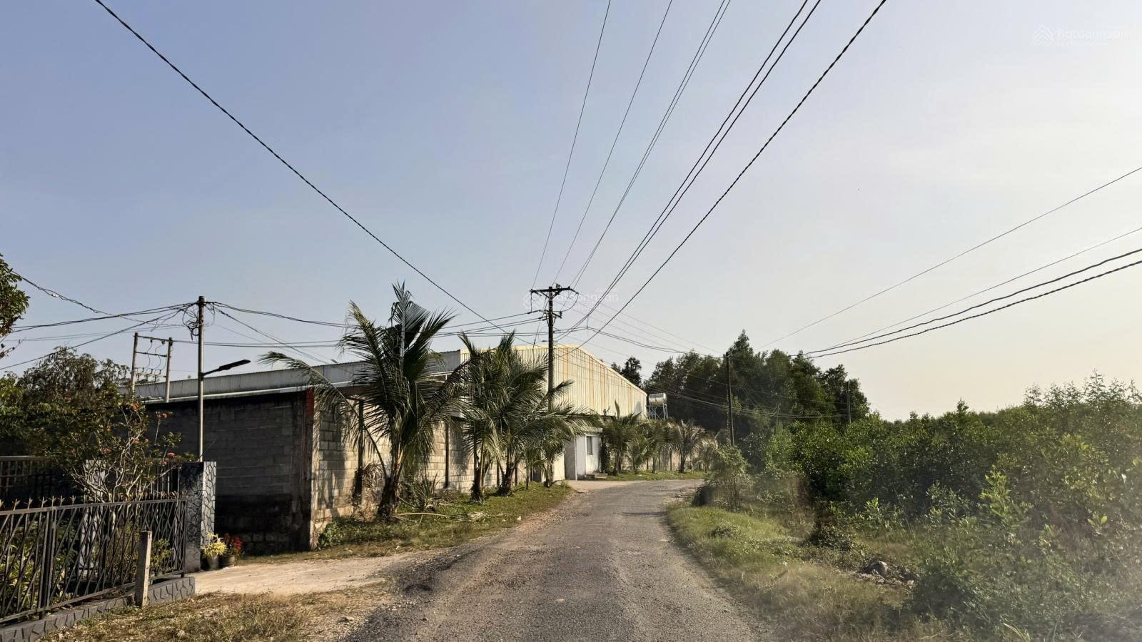 Bán 3 lô đất trồng cây lâu năm tại Long Thành, Đồng Nai